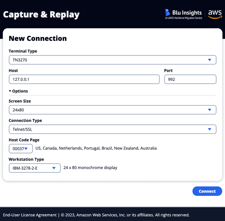 Terminal emulation aws blu insights
